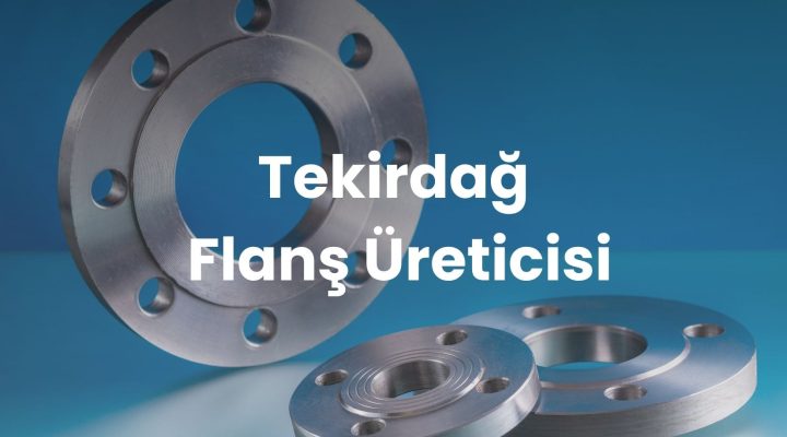 Tekirdağ Flanş Üreticisi 7 Tekirdağ Flanş Üreticisi